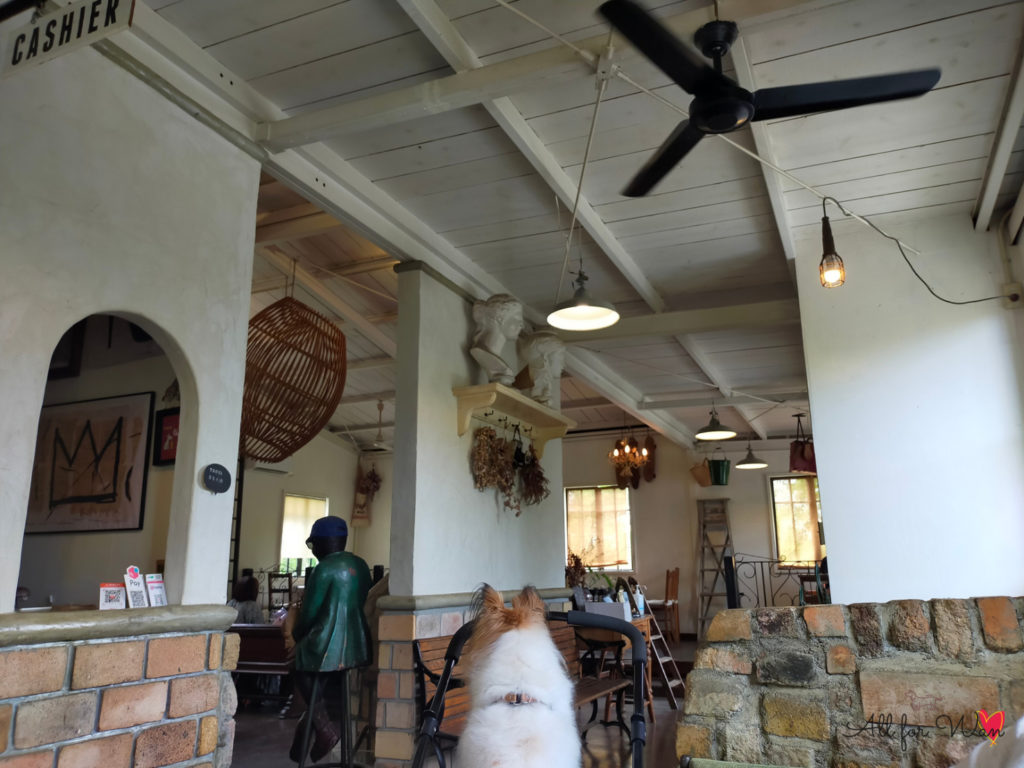 三重県志摩市にある犬OKのシェブロンカフェ