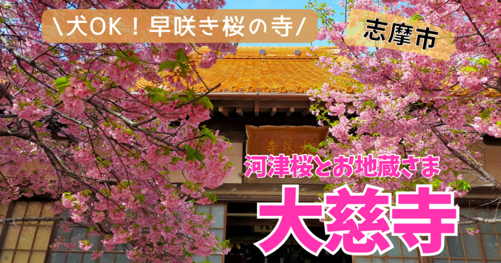 三重県志摩市にあるあじさい寺の異名を持つ大慈寺