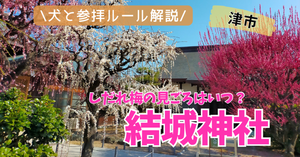 三重県津市にあるしだれ梅で有名な結城神社
