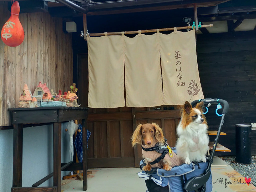 三重県津市にある犬OKのカフェ菜のはな畑
