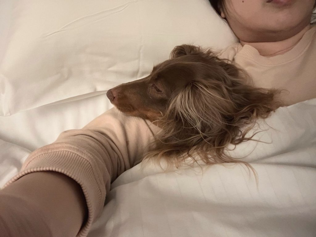 犬と添い寝できる離宮 伊勢